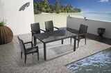 Garden/Outdoor Wicker Dining Set for Chair and Table (LN-585)