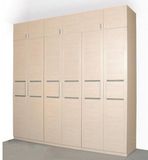 Wardrobe Made in China with New Design9