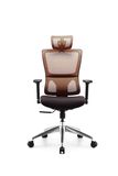 Modern Soft Padded Mesh Ergonomic Office Chair (FOH- X4BAP)