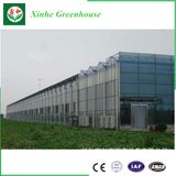 Vegetables/Garden/Flowers/Farm Plastic Film Green House