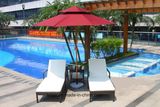 Outdoor Rattan Furniture Resort Sun Lounge Beach Lounge Chairs (LL-RST007)