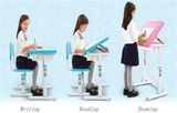 Famous Adjustable Ergonomic Drawing Table University Furniture