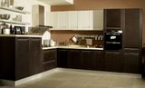 New Design Wood PVC Lacquer Kitchen Cabinet Made in China (zc-023)