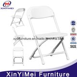 Plastic Folding Chair