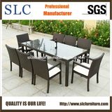 New Wicker Furniture/Synthetic Wicker Furniture (SC-B6023-B)