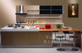 Baked Paint Kitchen Cabinet (M-L65)