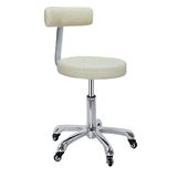 Modern Economic Backrest Hair Salon Stools Zc08