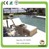 New Design Plastic Leisure Chair (Beach chair)