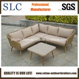 Rattan Sofa, Outdoor Sofa (SC-1721)