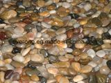 Natural Flat &Polished River Stone Pebble with Mixed Colors