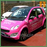 Best Price Customed Vinyl Car Sticker for Decoration (TJ (11))