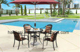 Outdoor /Rattan / Garden / Patio / Hotel Furniture Rattan Chair & Table Set (HS 1001C-2 &HS 6076DT)