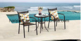 Outdoor /Rattan / Garden / Patio / Hotel Furniture Rattan Chair & Table Set (HS1023C-2&HS 6060ET)