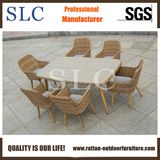 Wicker Furniture/Wicker Dining Set/Rattan Chair (SC-1722)