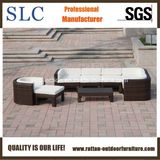 Outdoor Wicker Furniture/Garden Corner Sofa/Modern Garden Sofa (SC-B6516)