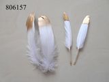 Creative Feather Craft Hobby