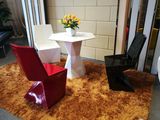 Modern Furniture Fiber Glass Leisure Chair (EC-022)