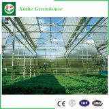 High Quality Venlo Structure Glass Greenhouse