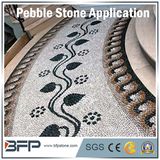 Hot Sale Snow White Pebble/River Stone Widely Used in Floor, Wall, Swimming Pool