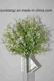 47079 PE Selaginella Artificial Plant for Home Decoration (47079)