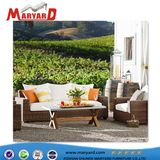 Wicker Rattan Sofa Bed Rattan Sofa Furniture with Ottoman