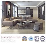 Commerical Hotel Furniture for Living Room Furniture Set (YB-WS7)