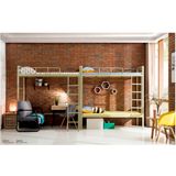 Modern School Dormitory Furniture Bunk Bed with Desk