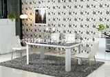 Dining Table and New Stelish Dining Chair Set (CT-163 CY-112)