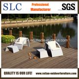 Rattan Sofa Set, Rattan Table (SC-B8879)