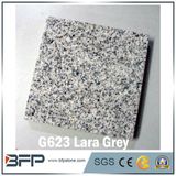 G623 Natural Stone Grey Granite for Floor, Stair, Paving Stone