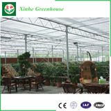 Automatic Control System Glass Green House for Agriculture