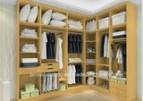 Modern Wood Panel Closet Wardrobe