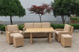 Outdoor New Twist Vine Aluninum Rattan Sofa Set