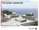 New Garden Patio Wicker / Rattan Sofa Furniture (TG-022)