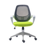 Low Back Professional Office Training Full Mesh Worker Chair (FS-1012)