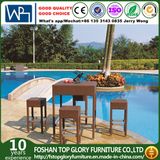 Outdoor Bar Set with Special Weaving Rattan Bar Stool (TG-JW65)