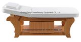 New Model Massage Bed Facial Bed for Salon SPA Used