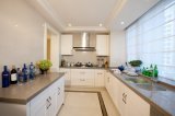 2017 New Modern Furniture White Shaker Wood Kitchen Cabinet Yb-1706008
