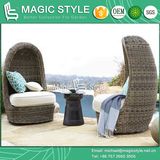 Leisure Wicker Daybed Rattan Sofa Leisure Sofa (Magic Style)