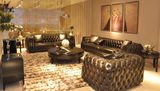 Living Room Furniture Leather Sofa (B8)