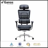 Best Ergonomic Healthy Executive High Back Chair