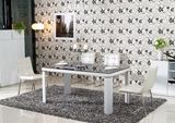 Dining Table and Simple Style Dining Chair Set (CT-163 CY-112)
