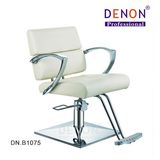 Styling Chair Hair Salon Furniture Beauty Salon Equipment (DN. B1075)