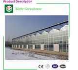 Popular Prefabricated Glass Green House for Vegetable Farm