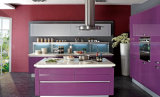 Black and White Kitchen Furniture Lacquer Kitchen Cabinet (zz-080)