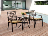 Outdoor / Garden / Patio/ Rattan/Cast Aluminum Chair HS3193c
