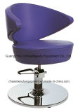 Fashion Styling Chair for Hair Salon Furnoture Hair Salon Equipment