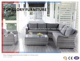 Garden Sectional Outdoor Wicker/Rattan Sofa Set (TG-049)