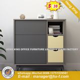 China Factory Wood Kitchen Metal Storage Cabinet (HX-8ND9236)