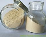 Made-in-China on Sale Citrus Pectin Powder